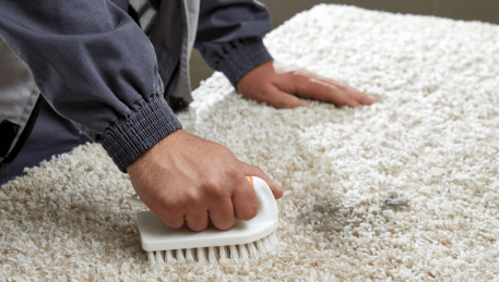 Professional Rug Cleaning Ocean Grove